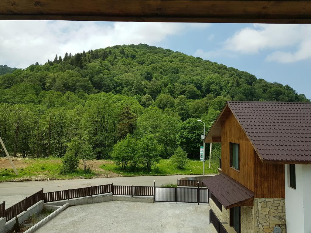 Villa Crystal Town House Bakuriani Exterior foto
